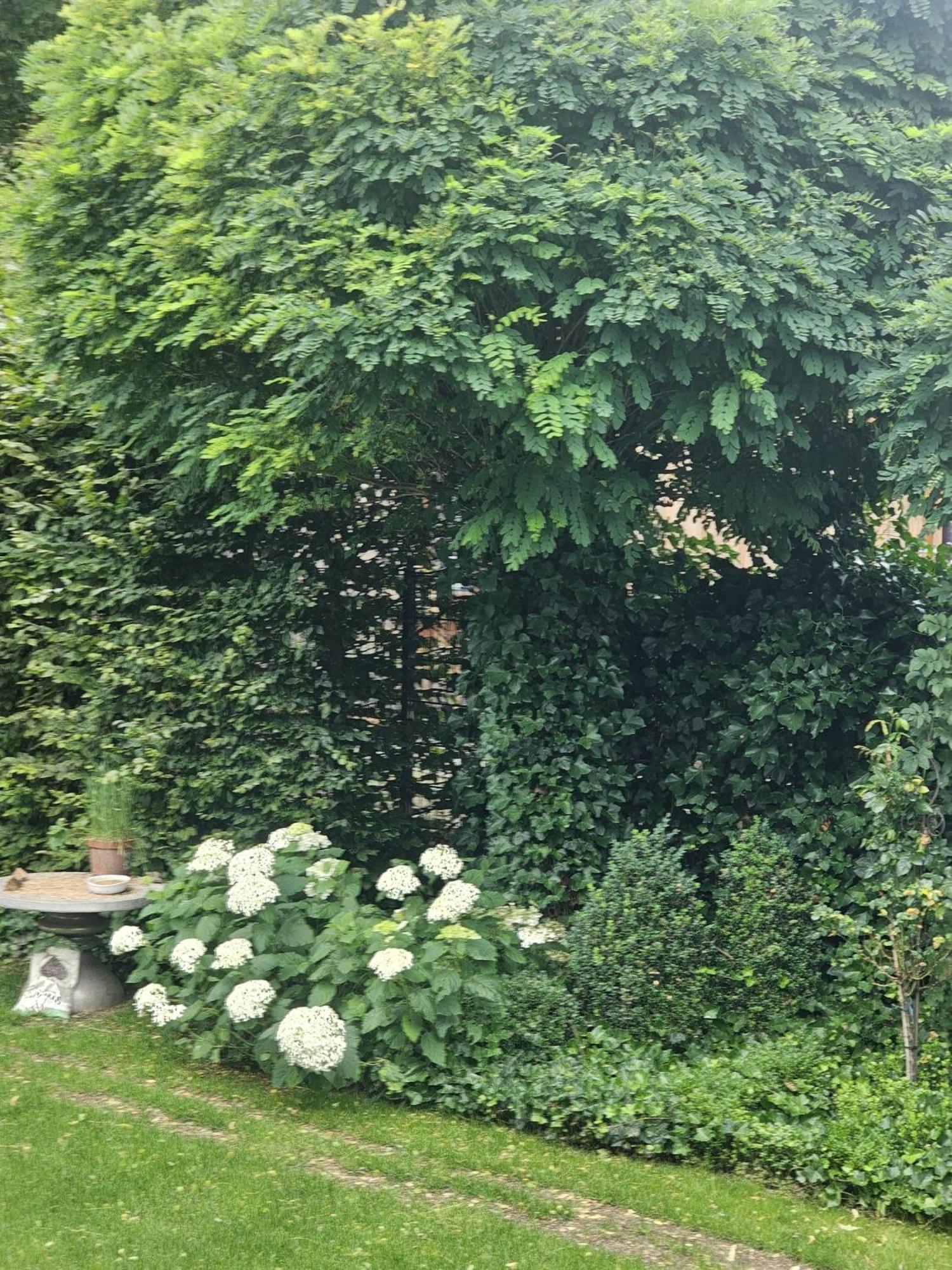 Gemuetliche Wohnung Mit Sauna Neumarkt in der Oberpfalz Dış mekan fotoğraf